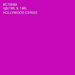#C709BA - Hollywood Cerise Color Image