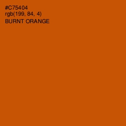 #C75404 - Burnt Orange Color Image