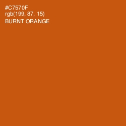 #C7570F - Burnt Orange Color Image