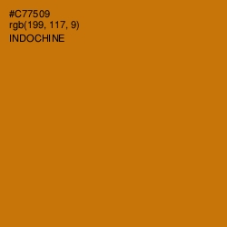 #C77509 - Indochine Color Image