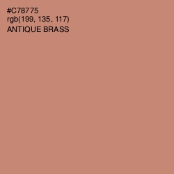 #C78775 - Antique Brass Color Image