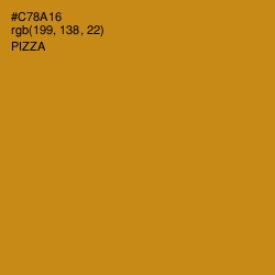 #C78A16 - Pizza Color Image