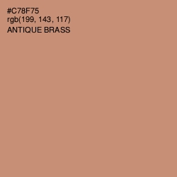 #C78F75 - Antique Brass Color Image