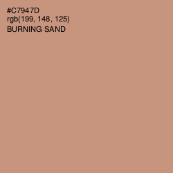 #C7947D - Burning Sand Color Image