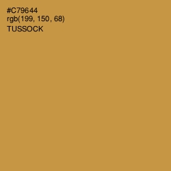 #C79644 - Tussock Color Image