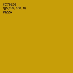 #C79E08 - Pizza Color Image
