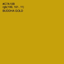 #C7A10B - Buddha Gold Color Image