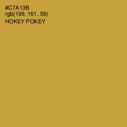 #C7A13B - Hokey Pokey Color Image