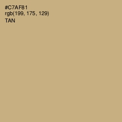 #C7AF81 - Tan Color Image