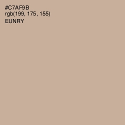 #C7AF9B - Eunry Color Image