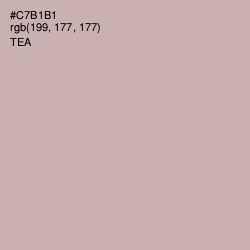 #C7B1B1 - Tea Color Image