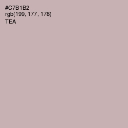 #C7B1B2 - Tea Color Image