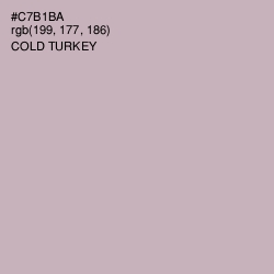#C7B1BA - Cold Turkey Color Image