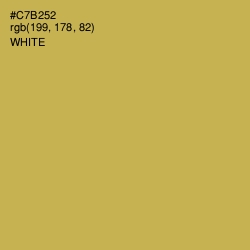 #C7B252 - Sundance Color Image