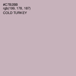 #C7B2BB - Cold Turkey Color Image