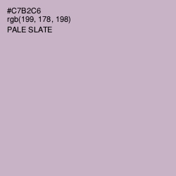 #C7B2C6 - Pale Slate Color Image