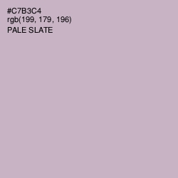 #C7B3C4 - Pale Slate Color Image