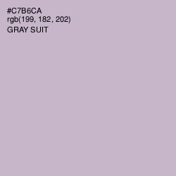 #C7B6CA - Gray Suit Color Image