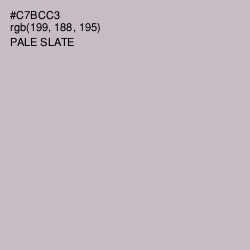#C7BCC3 - Pale Slate Color Image