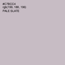 #C7BCC4 - Pale Slate Color Image