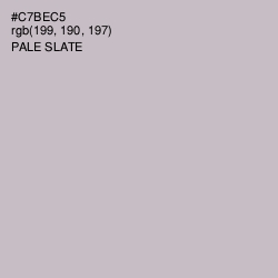 #C7BEC5 - Pale Slate Color Image