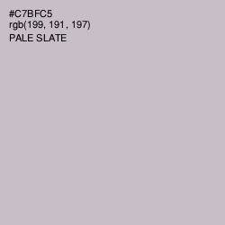 #C7BFC5 - Pale Slate Color Image