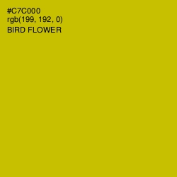 #C7C000 - Bird Flower Color Image