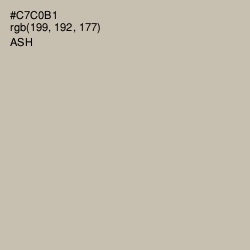 #C7C0B1 - Ash Color Image