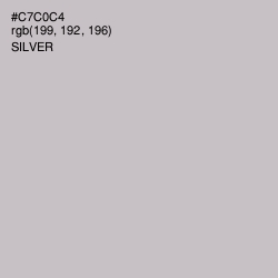 #C7C0C4 - Silver Color Image