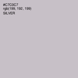 #C7C0C7 - Silver Color Image