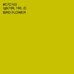 #C7C102 - Bird Flower Color Image