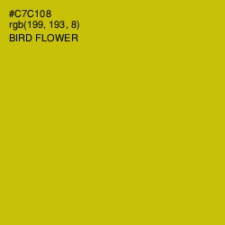 #C7C108 - Bird Flower Color Image