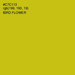 #C7C113 - Bird Flower Color Image