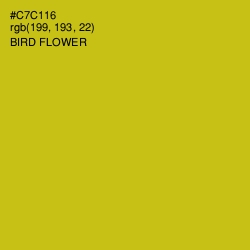 #C7C116 - Bird Flower Color Image