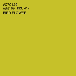 #C7C129 - Bird Flower Color Image