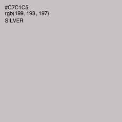 #C7C1C5 - Silver Color Image