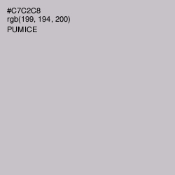 #C7C2C8 - Pumice Color Image