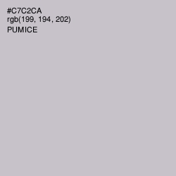 #C7C2CA - Pumice Color Image
