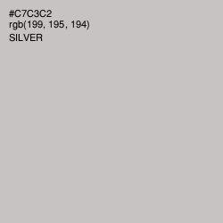 #C7C3C2 - Silver Color Image
