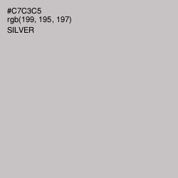 #C7C3C5 - Silver Color Image