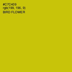 #C7C409 - Bird Flower Color Image