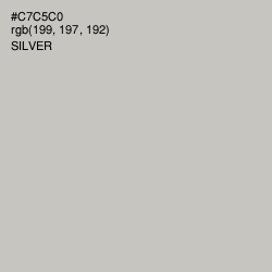 #C7C5C0 - Silver Color Image