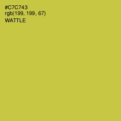 #C7C743 - Wattle Color Image