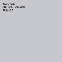 #C7C7CE - Pumice Color Image