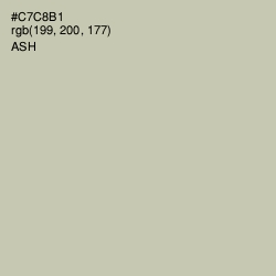 #C7C8B1 - Ash Color Image