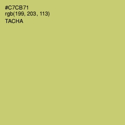 #C7CB71 - Tacha Color Image