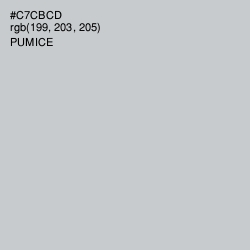 #C7CBCD - Pumice Color Image