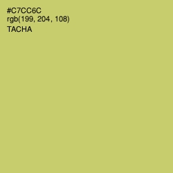 #C7CC6C - Tacha Color Image