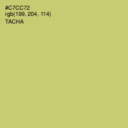 #C7CC72 - Tacha Color Image