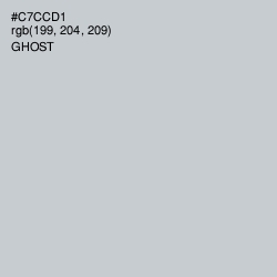 #C7CCD1 - Ghost Color Image